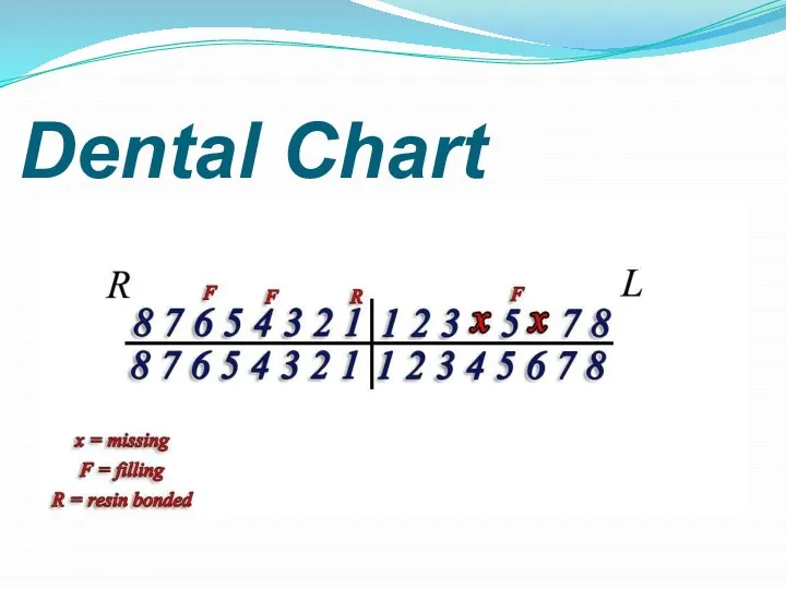 Dental Chart