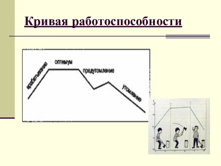 Кривая работоспособности