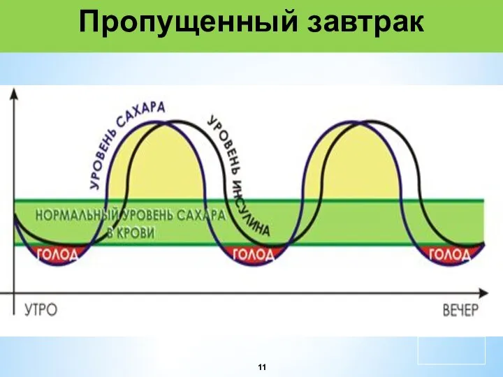 Пропущенный завтрак