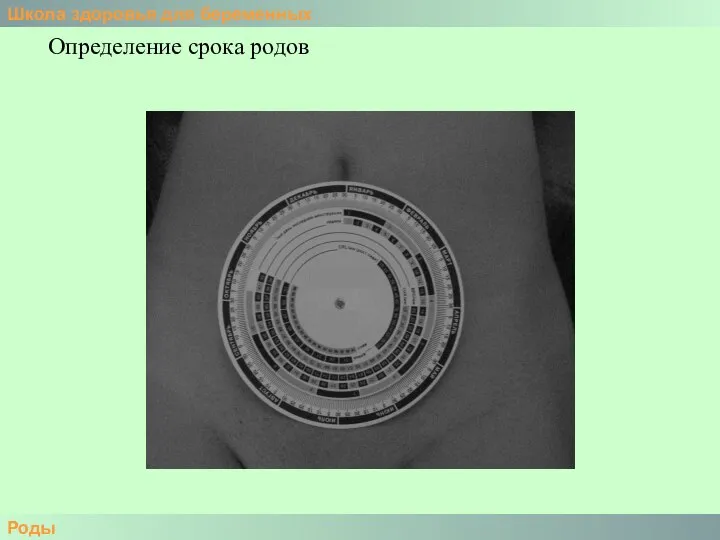 Школа здоровья для беременных Роды Определение срока родов