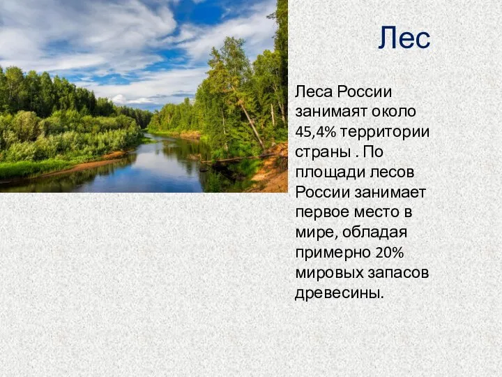 Лес Леса России занимаят около 45,4% территории страны . По площади
