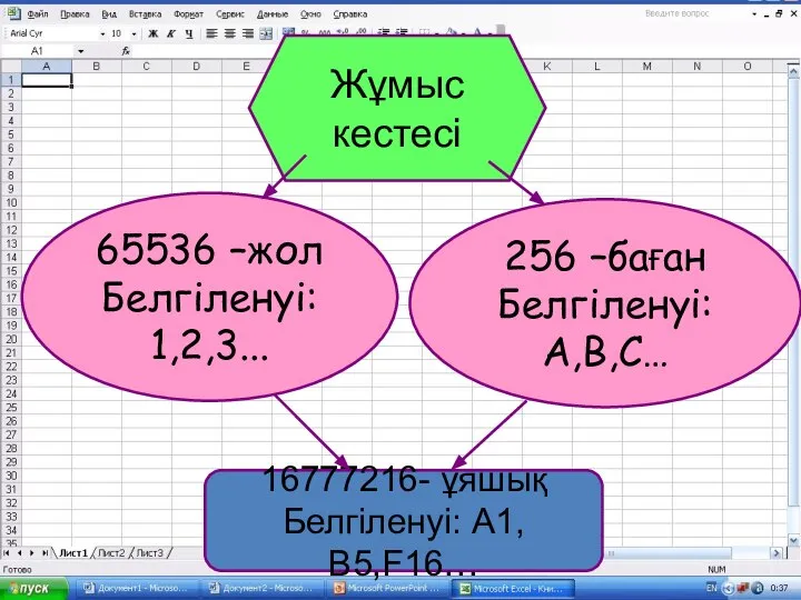 65536 –жол Белгіленуі: 1,2,3... 256 –баған Белгіленуі: A,B,C… Жұмыс кестесі 16777216- ұяшық Белгіленуі: А1,В5,F16…