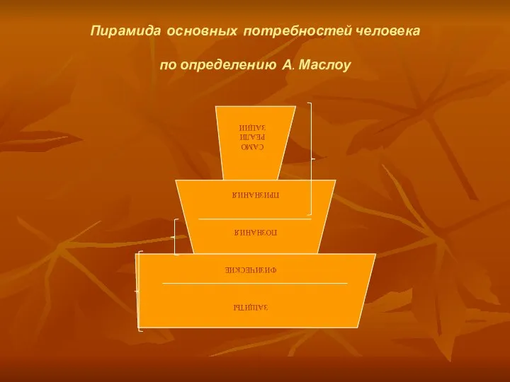 Пирамида основных потребностей человека по определению А. Маслоу