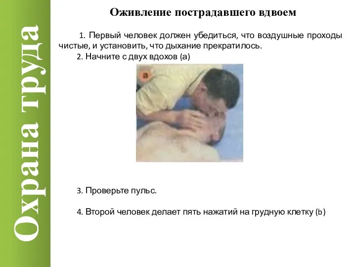 Охрана труда Оживление пострадавшего вдвоем 1. Первый человек должен убедиться, что