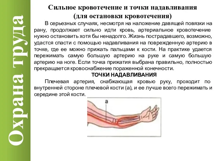 Охрана труда Сильное кровотечение и точки надавливания (для остановки кровотечения) В