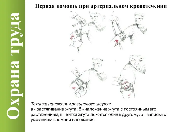 Охрана труда Техника наложения резинового жгута: а - растягивание жгута; б