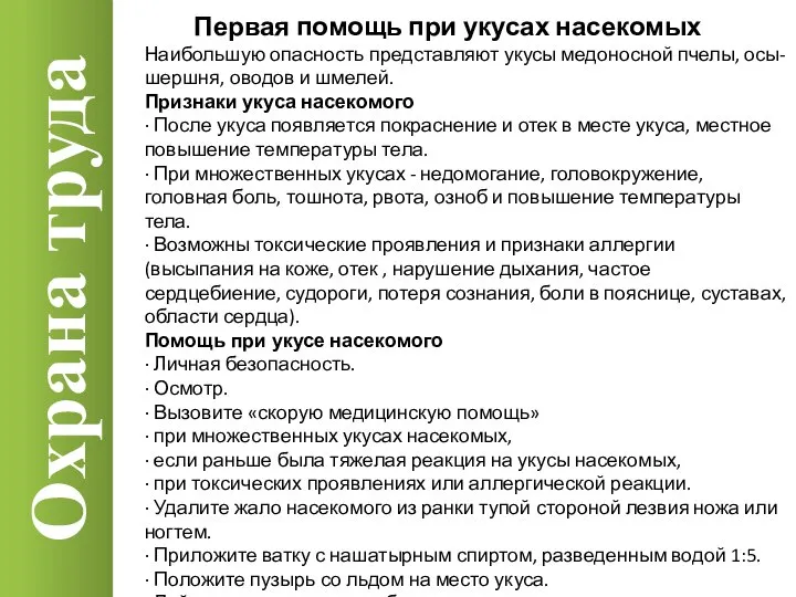 Охрана труда Наибольшую опасность представляют укусы медоносной пчелы, осы-шершня, оводов и