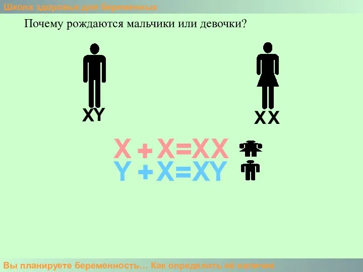 Школа здоровья для беременных Вы планируете беременность… Как определить её наличие