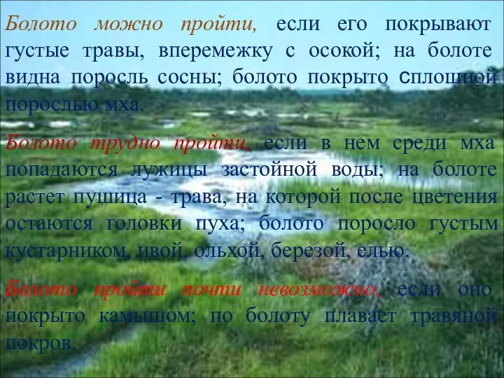 Болото можно пройти, если его покрывают густые травы, впере­межку с осокой;