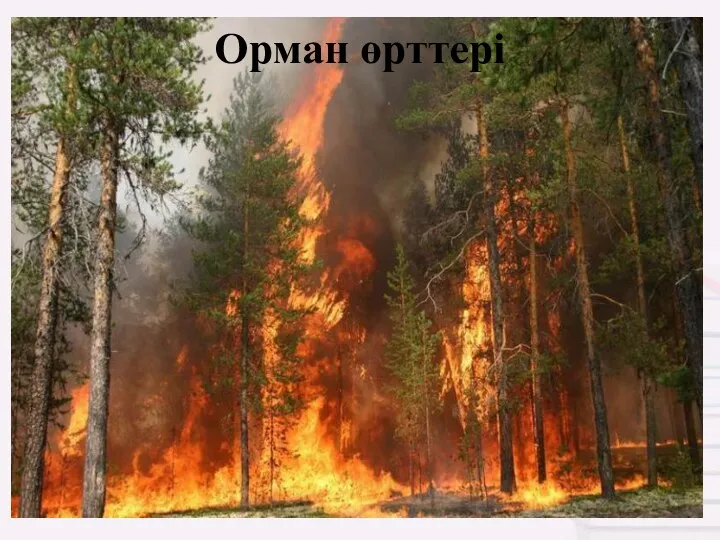 Орман өрттері