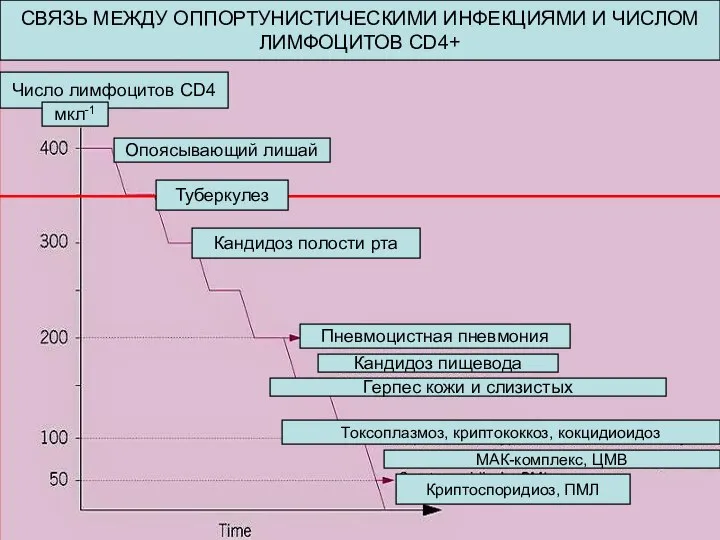 СВЯЗЬ МЕЖДУ ОППОРТУНИСТИЧЕСКИМИ ИНФЕКЦИЯМИ И ЧИСЛОМ ЛИМФОЦИТОВ CD4+ Число лимфоцитов CD4