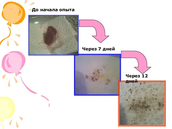 Через 7 дней Через 12 дней До начала опыта
