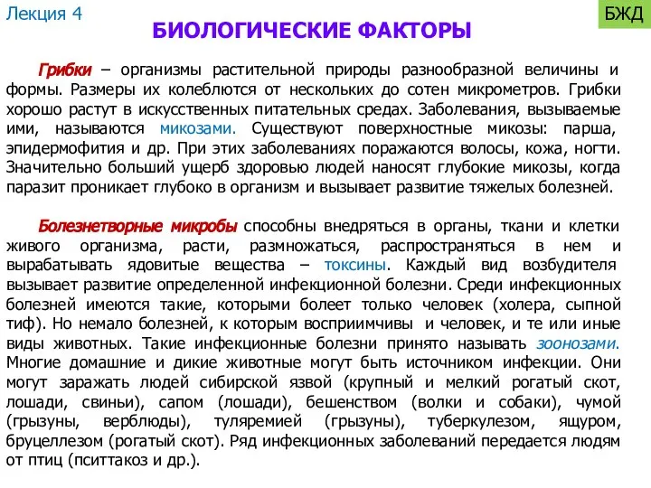 БИОЛОГИЧЕСКИЕ ФАКТОРЫ Грибки – организмы растительной природы разнообразной величины и формы.