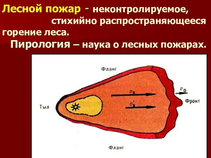 Лесной пожар - неконтролируемое, стихийно распространяющееся горение леса. Пирология – наука о лесных пожарах.