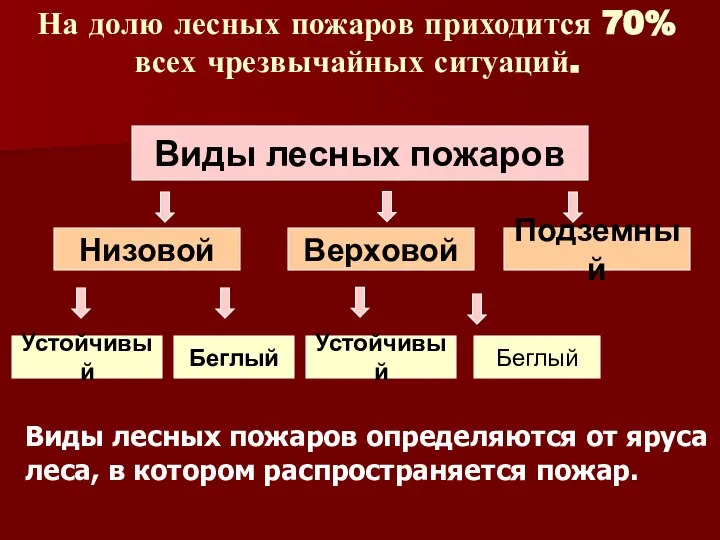 Виды лесных пожаров определяются от яруса леса, в котором распространяется пожар.