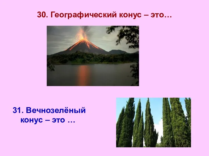 30. Географический конус – это… 31. Вечнозелёный конус – это …