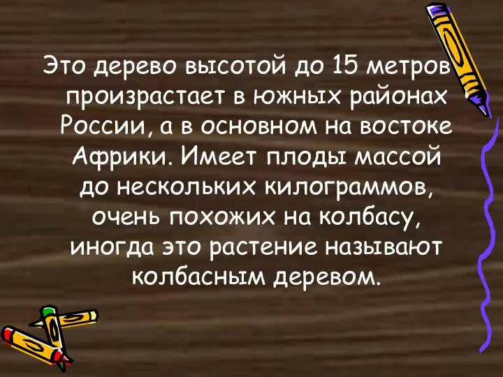 Это дерево высотой до 15 метров произрастает в южных районах России,