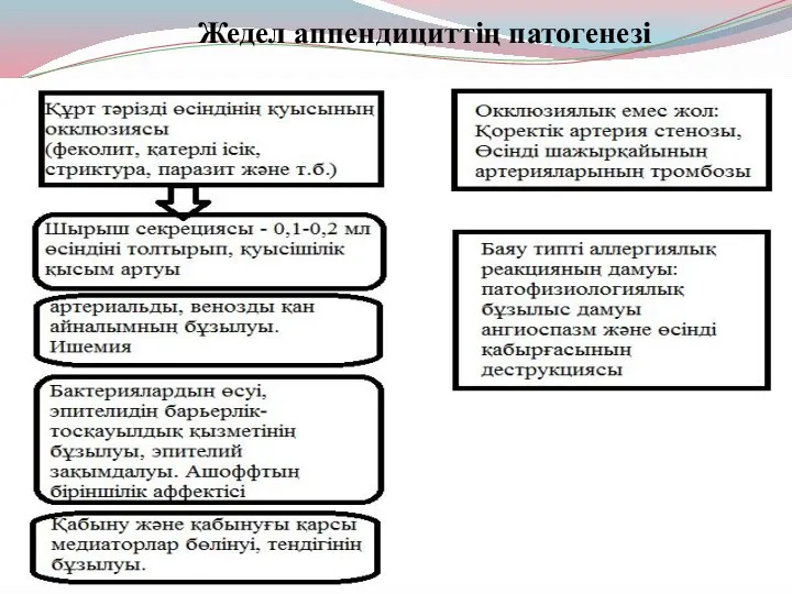 Жедел аппендициттің патогенезі