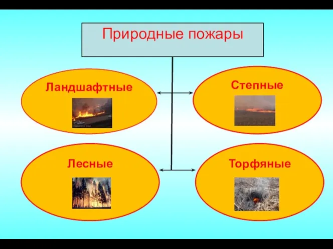 Природные пожары Природные пожары Ландшафтные Степные Торфяные Лесные