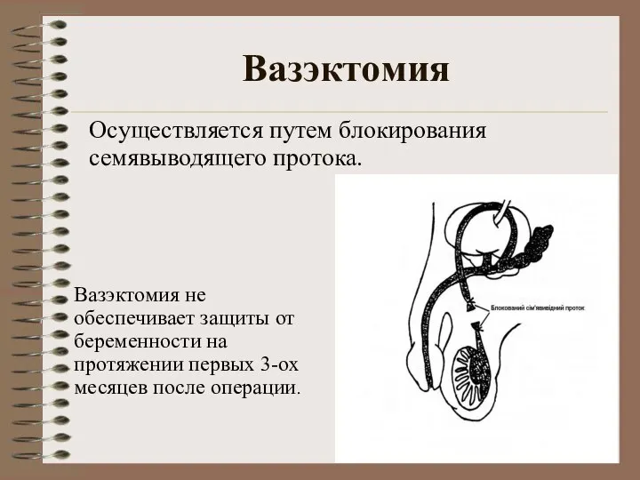 Вазэктомия Вазэктомия не обеспечивает защиты от беременности на протяжении первых 3-ох