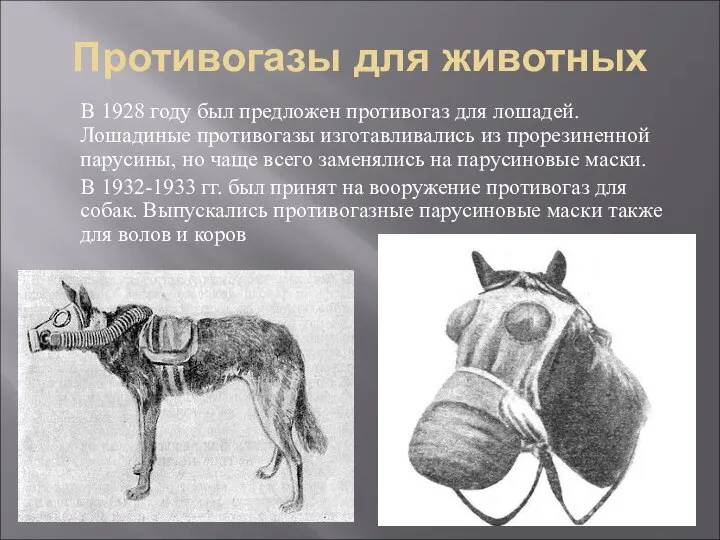 Противогазы для животных В 1928 году был предложен противогаз для лошадей.