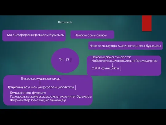 Патогенезі Т4 , Т3 Ми дифференцировкасы бұзылысы Нейрон саны азаюы Нерв