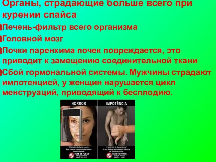 Органы, страдающие больше всего при курении спайса Печень-фильтр всего организма Головной