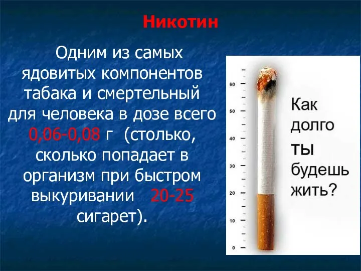 Никотин Одним из самых ядовитых компонентов табака и смертельный для человека