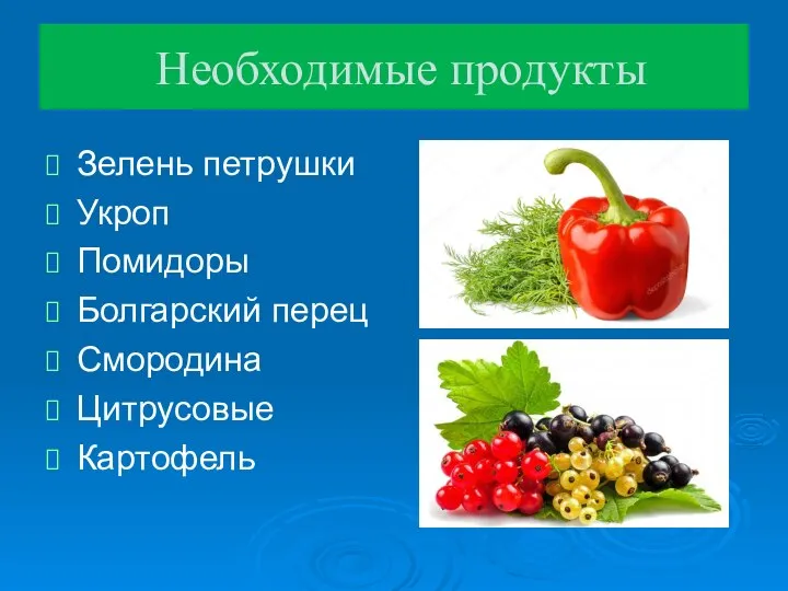 Необходимые продукты Зелень петрушки Укроп Помидоры Болгарский перец Смородина Цитрусовые Картофель