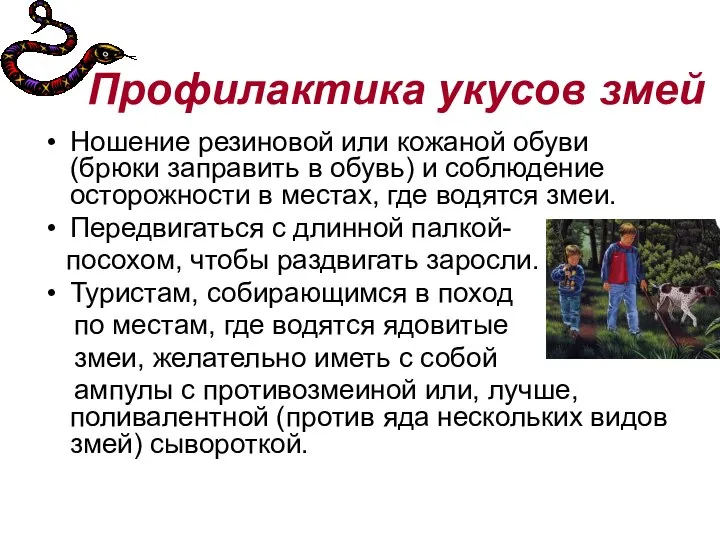 Профилактика укусов змей Ношение резиновой или кожаной обуви (брюки заправить в