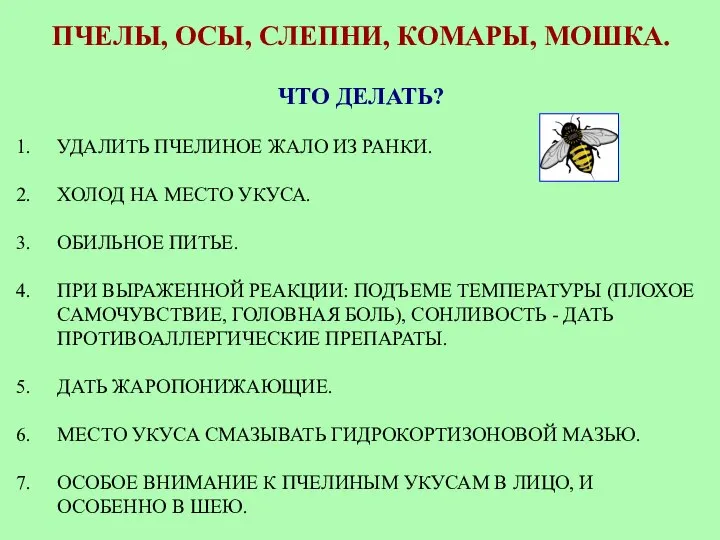 ПЧЕЛЫ, ОСЫ, СЛЕПНИ, КОМАРЫ, МОШКА. ЧТО ДЕЛАТЬ? УДАЛИТЬ ПЧЕЛИНОЕ ЖАЛО ИЗ