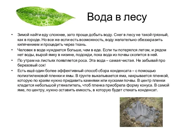 Вода в лесу Зимой найти еду сложнее, зато проще добыть воду.