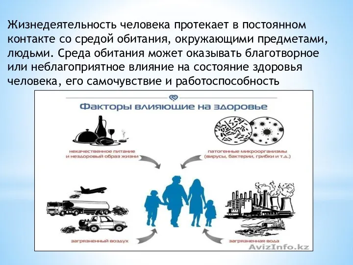 Жизнедеятельность человека протекает в постоянном контакте со средой обитания, окружающими предметами,