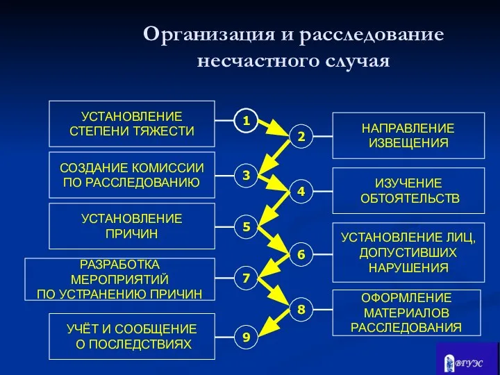 ОФОРМЛЕНИЕ МАТЕРИАЛОВ РАССЛЕДОВАНИЯ 1 2 3 4 5 6 РАЗРАБОТКА МЕРОПРИЯТИЙ