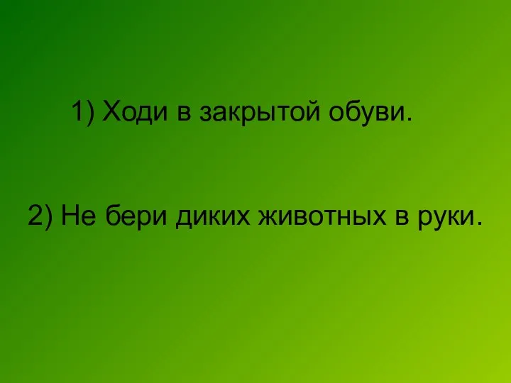 1) Ходи в закрытой обуви. 2) Не бери диких животных в руки.