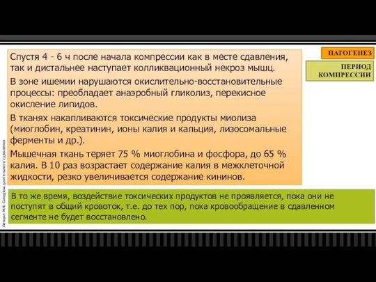 Лекция №4: Синдром длительного сдавления ПАТОГЕНЕЗ ПЕРИОД КОМПРЕССИИ Спустя 4 -