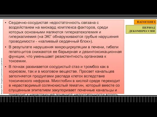 Лекция №4: Синдром длительного сдавления ПАТОГЕНЕЗ ПЕРИОД ДЕКОМПРЕССИИ Сердечно-сосудистая недостаточность связана