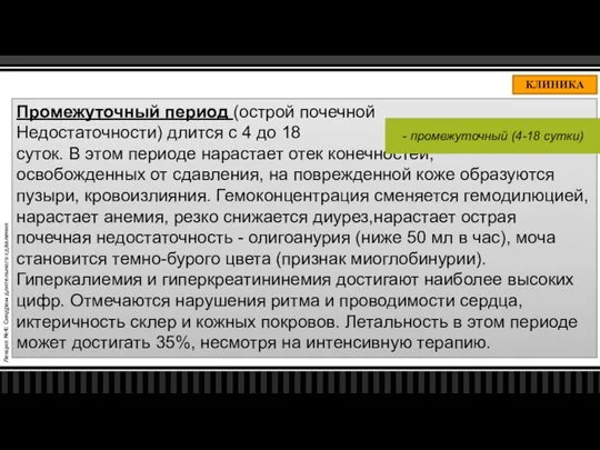 Лекция №4: Синдром длительного сдавления КЛИНИКА Промежуточный период (острой почечной Недостаточности)