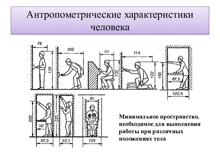 Антропометрические характеристики человека Минимальное пространство, необходимое для выполнения работы при различных положениях тела