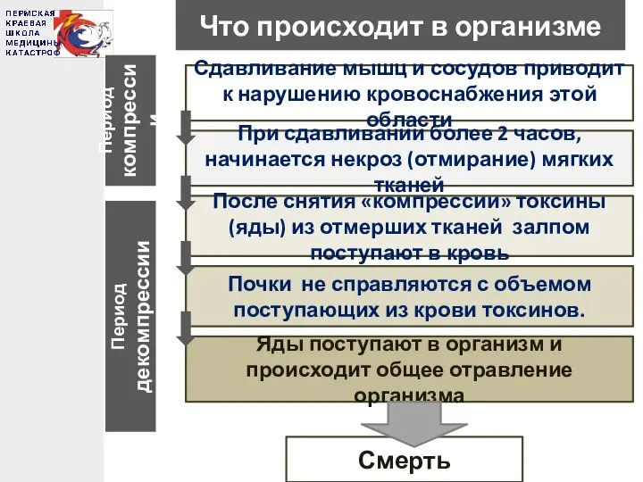 Что происходит в организме Сдавливание мышц и сосудов приводит к нарушению