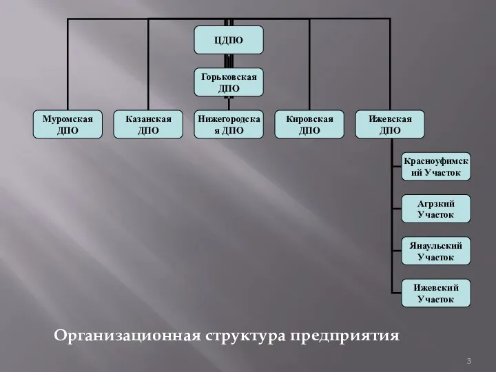 Организационная структура предприятия