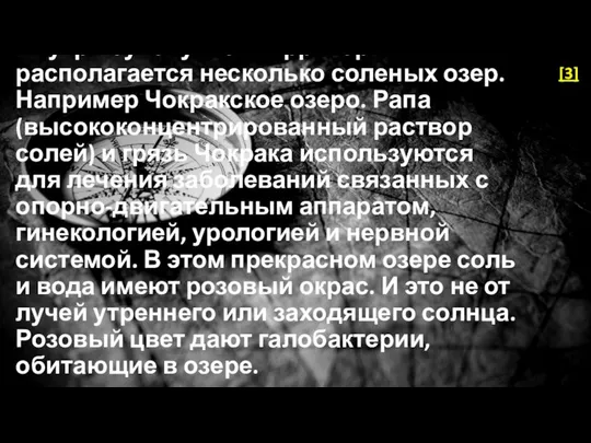 Внутри сухопутной территории располагается несколько соленых озер. Например Чокракское озеро. Рапа