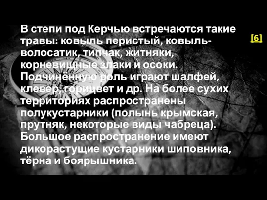 В степи под Керчью встречаются такие травы: ковыль перистый, ковыль-волосатик, типчак,