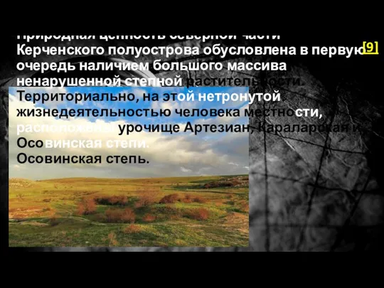 Природная ценность северной части Керченского полуострова обусловлена в первую очередь наличием