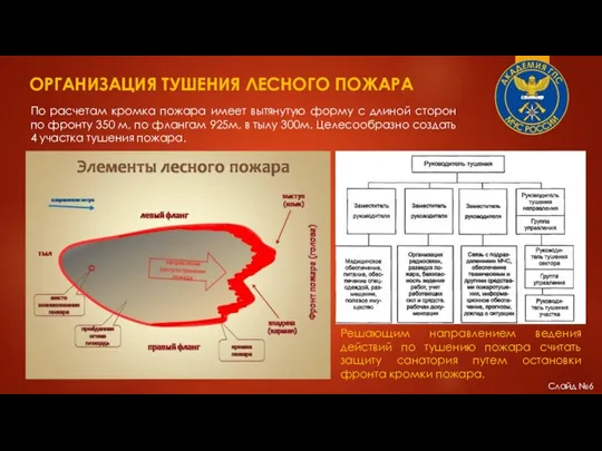 ОРГАНИЗАЦИЯ ТУШЕНИЯ ЛЕСНОГО ПОЖАРА Слайд №6 По расчетам кромка пожара имеет