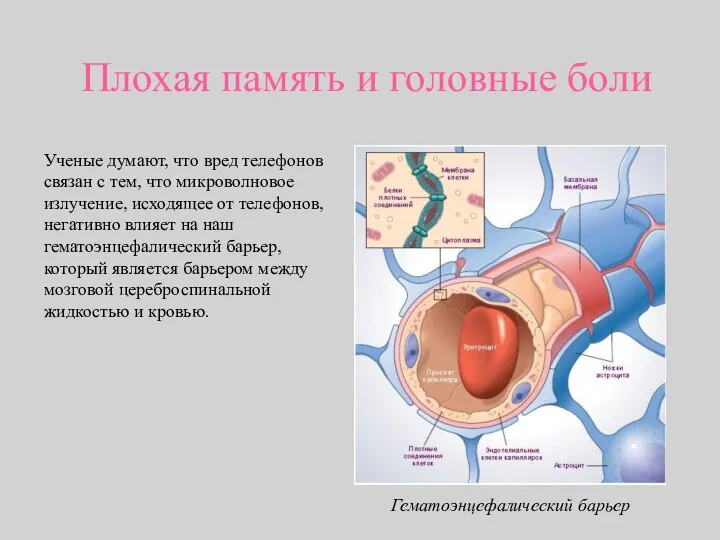 Плохая память и головные боли Ученые думают, что вред телефонов связан