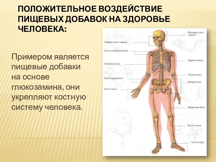 Примером является пищевые добавки на основе глюкозамина, они укрепляют костную систему