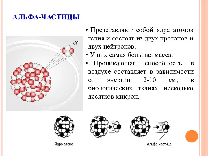 АЛЬФА-ЧАСТИЦЫ Представляют собой ядра атомов гелия и состоят из двух протонов