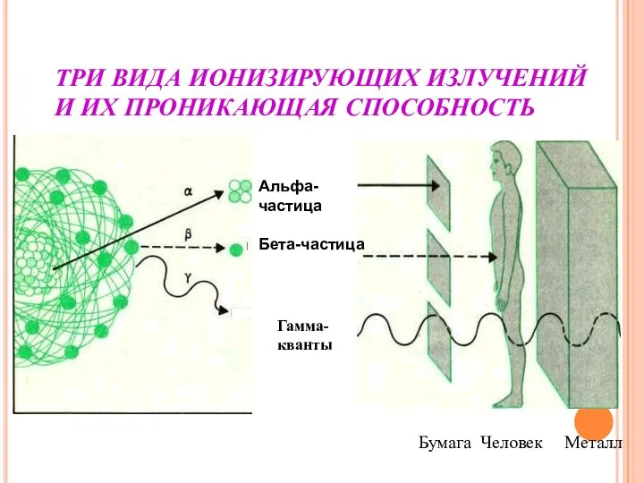 ТРИ ВИДА ИОНИЗИРУЮЩИХ ИЗЛУЧЕНИЙ И ИХ ПРОНИКАЮЩАЯ СПОСОБНОСТЬ Гамма-кванты Бумага Человек Металл