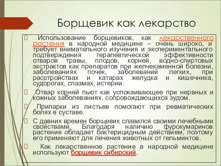 Борщевик как лекарство Использование борщевиков, как лекарственного растения в народной медицине